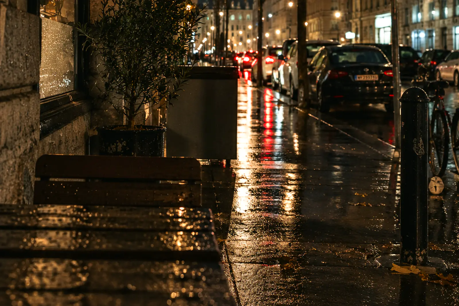 A Viennese side-street terrace at night after rain: an empty bench and table against the wall, a potted olive tree beside them, the wet lane behind with parked cars and lamplight on the cobbles.